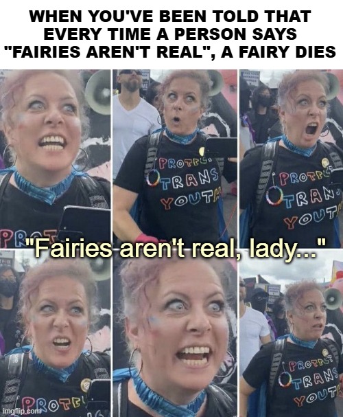 WHEN YOU'VE BEEN TOLD THAT EVERY TIME A PERSON SAYS "FAIRIES AREN'T REAL", A FAIRY DIES; "Fairies aren't real, lady..." | image tagged in crazy lady | made w/ Imgflip meme maker