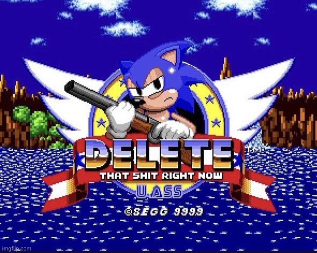 Sonic: DELETE THAT SH*T RIGHT NOW. U A$$ | image tagged in sonic delete that sh t right now u a | made w/ Imgflip meme maker