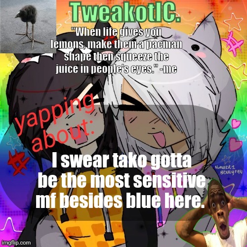 bro is more sensitive than my gums after I brush my teeth | I swear tako gotta be the most sensitive mf besides blue here. | image tagged in smores 14th announcement temp | made w/ Imgflip meme maker