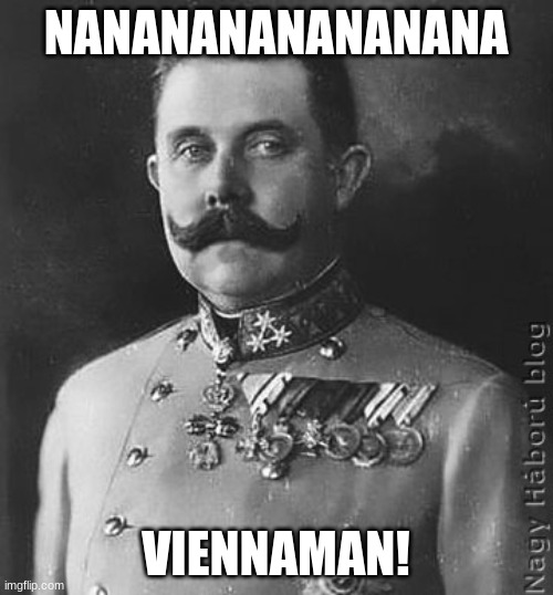 Franz Ferdinand | NANANANANANANANA VIENNAMAN! | image tagged in franz ferdinand | made w/ Imgflip meme maker
