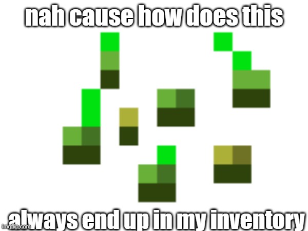 can't just be me | nah cause how does this; always end up in my inventory | image tagged in minecraft,minecraft memes,meme,wheat seeds | made w/ Imgflip meme maker