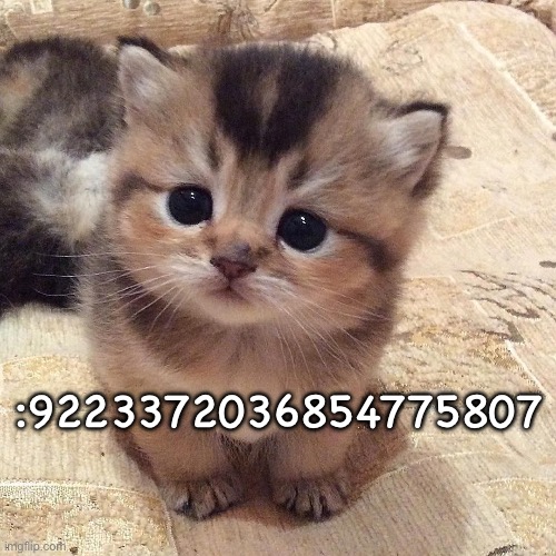 :9223372036854775807 | made w/ Imgflip meme maker