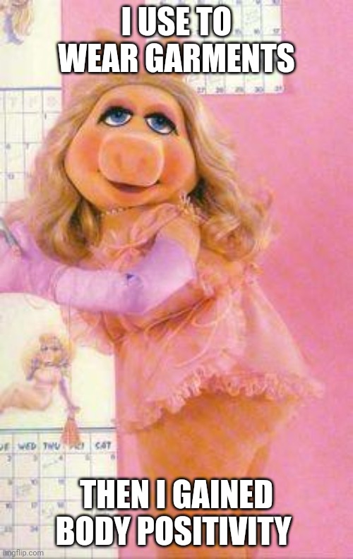 Body Confidence | I USE TO WEAR GARMENTS; THEN I GAINED BODY POSITIVITY | image tagged in miss piggy | made w/ Imgflip meme maker