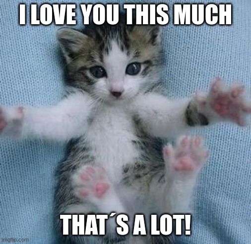 I love you this much  | I LOVE YOU THIS MUCH THAT´S A LOT! | image tagged in i love you this much | made w/ Imgflip meme maker
