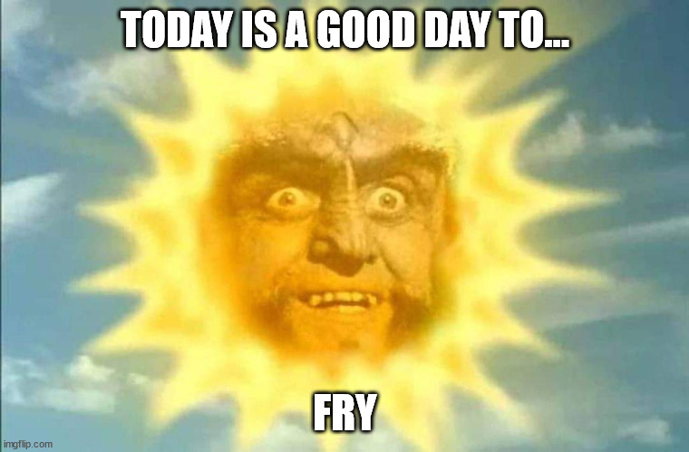 It is a good day! | TODAY IS A GOOD DAY TO... FRY | image tagged in gowron | made w/ Imgflip meme maker