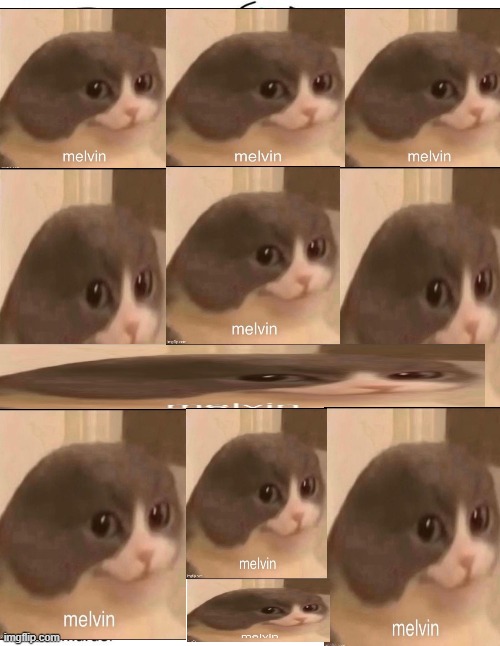 melvin core | made w/ Imgflip meme maker