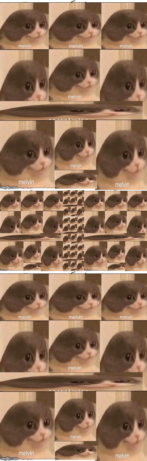 melvin core 2 | made w/ Imgflip meme maker