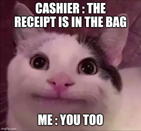 Oops | CASHIER : THE RECEIPT IS IN THE BAG; ME : YOU TOO | image tagged in awkward smile cat | made w/ Imgflip meme maker