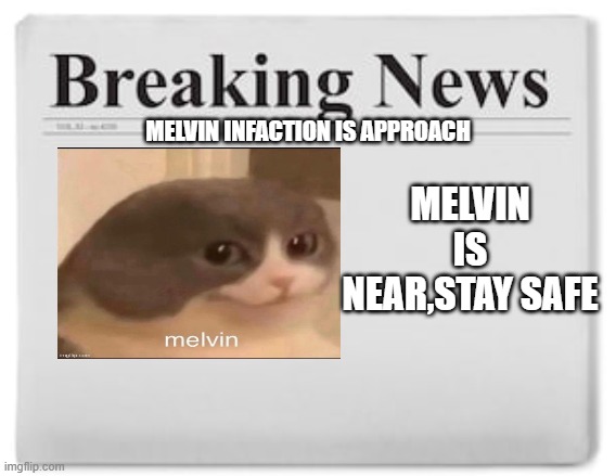 Breaking News | MELVIN IS NEAR,STAY SAFE; MELVIN INFACTION IS APPROACH | image tagged in breaking news | made w/ Imgflip meme maker