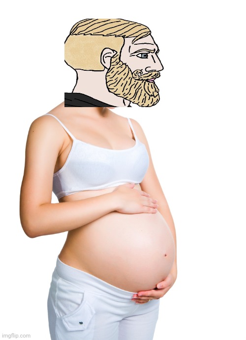 Pregnant woman | image tagged in pregnant woman | made w/ Imgflip meme maker