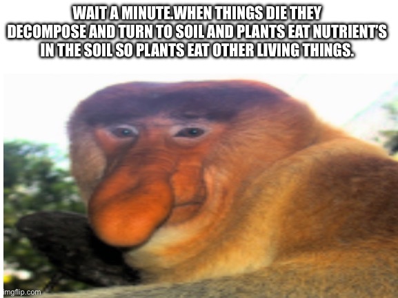 Think about it | WAIT A MINUTE.WHEN THINGS DIE THEY DECOMPOSE AND TURN TO SOIL AND PLANTS EAT NUTRIENT’S IN THE SOIL SO PLANTS EAT OTHER LIVING THINGS. | image tagged in blank white template | made w/ Imgflip meme maker