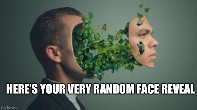 HERE’S YOUR VERY RANDOM FACE REVEAL | made w/ Imgflip meme maker