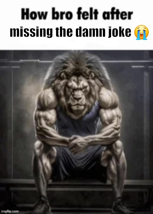 How bro felt after posting that | missing the damn joke ? | image tagged in how bro felt after posting that | made w/ Imgflip meme maker