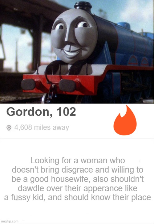 should i make a fake tinder profile like this? | Gordon, 102; 4,608 miles away; Looking for a woman who doesn't bring disgrace and willing to be a good housewife, also shouldn't dawdle over their apperance like a fussy kid, and should know their place | made w/ Imgflip meme maker