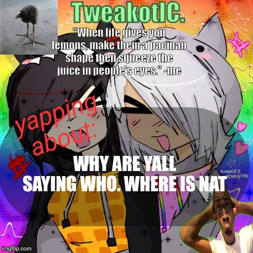 smores 14th announcement temp | WHY ARE YALL SAYING WHO. WHERE IS NAT | image tagged in smores 14th announcement temp | made w/ Imgflip meme maker