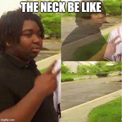 disappearing  | THE NECK BE LIKE | image tagged in disappearing | made w/ Imgflip meme maker