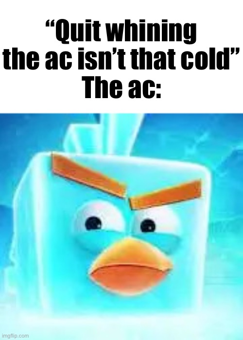 “Quit whining the ac isn’t that cold”
The ac: | image tagged in ice bird | made w/ Imgflip meme maker
