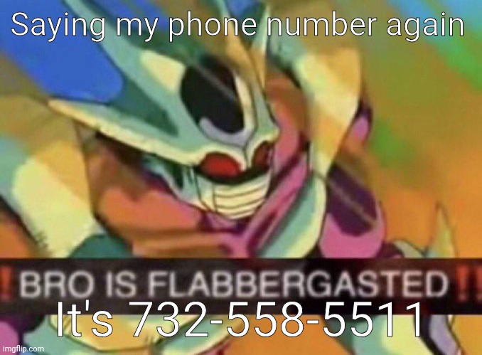 BRO IS FLABBERGASTED | Saying my phone number again; It's 732-558-5511 | image tagged in bro is flabbergasted | made w/ Imgflip meme maker