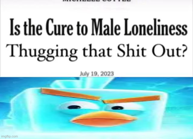 image tagged in is the cure to male loneliness thugging that shit out | made w/ Imgflip meme maker