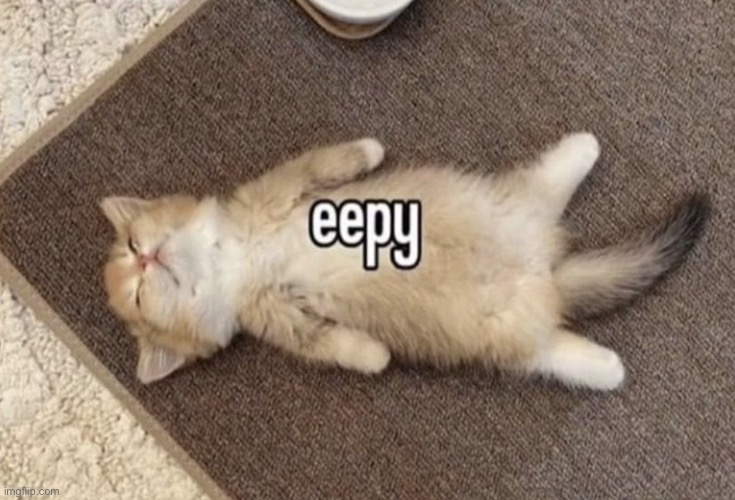 eepy | image tagged in eepy | made w/ Imgflip meme maker