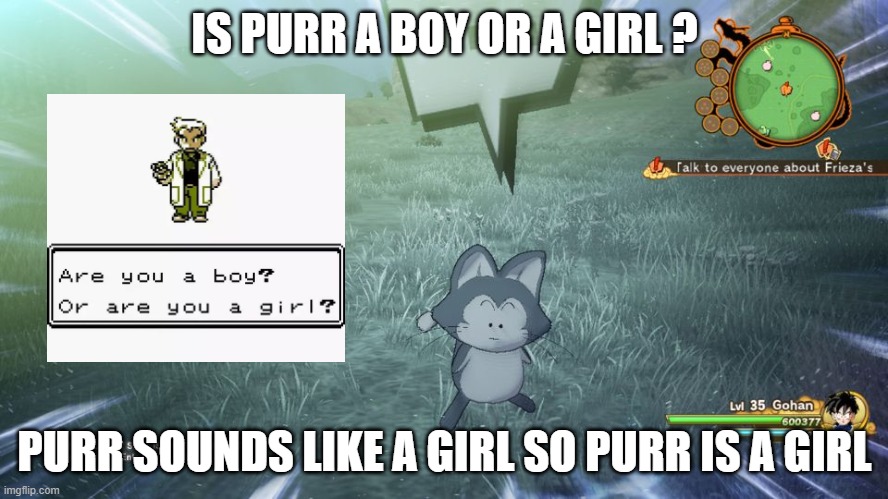 is purr a boy or a girl | IS PURR A BOY OR A GIRL ? PURR SOUNDS LIKE A GIRL SO PURR IS A GIRL | image tagged in purr,dragon ball z,boys vs girls,anime,cats,professor oak | made w/ Imgflip meme maker