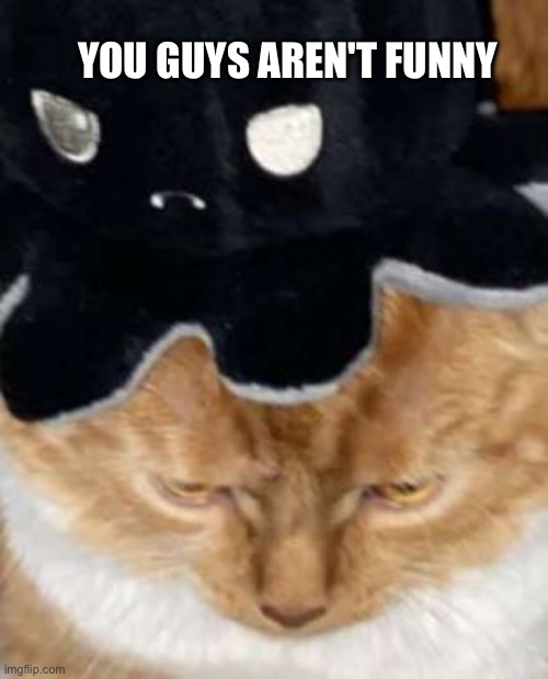 Not Funny | YOU GUYS AREN'T FUNNY | image tagged in memes,cats,cat,reddit | made w/ Imgflip meme maker