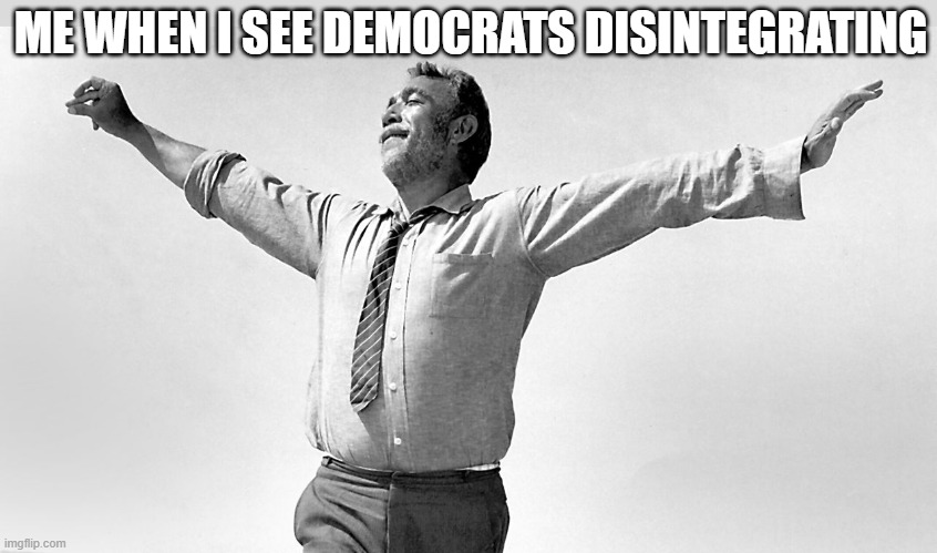 Democrats | ME WHEN I SEE DEMOCRATS DISINTEGRATING | image tagged in lies,democrats,biden | made w/ Imgflip meme maker