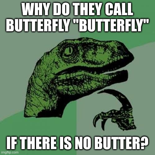 Philosoraptor Meme | WHY DO THEY CALL BUTTERFLY "BUTTERFLY" IF THERE IS NO BUTTER? | image tagged in memes,philosoraptor | made w/ Imgflip meme maker