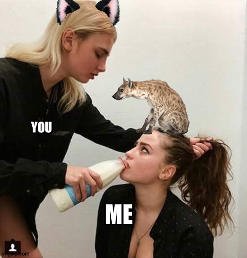 Lesbian couple  | YOU ME | image tagged in lesbian couple | made w/ Imgflip meme maker