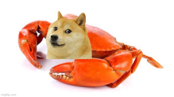 Doge crab | image tagged in doge | made w/ Imgflip meme maker