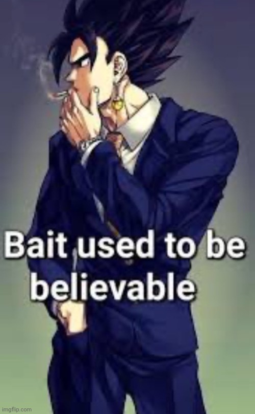 Bait used to be believable | image tagged in bait used to be believable | made w/ Imgflip meme maker