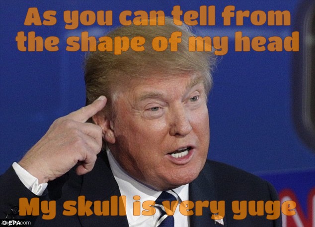 Phrenology. When a head's shape will suffice to let you know skull size ain't exactly clocking maximum | As you can tell from
the shape of my head; My skull is very yuge | image tagged in trump pointing to head,someone said trump had a big brain,oh it's yuge alright,trump,yuge,that hair helmet adds some volume | made w/ Imgflip meme maker