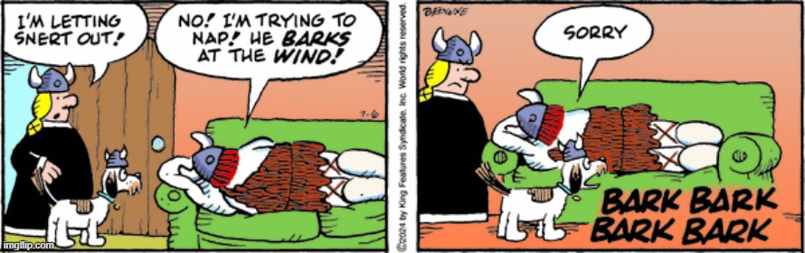 Hagar the Horrible | image tagged in comics | made w/ Imgflip meme maker