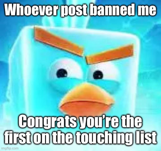 Whoever post banned me; Congrats you’re the first on the touching list | image tagged in ice bird | made w/ Imgflip meme maker