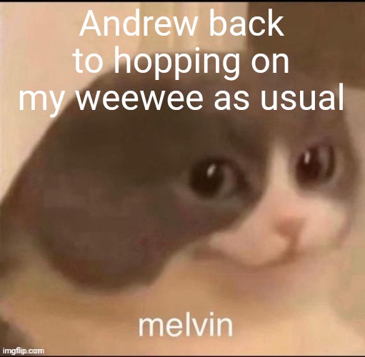 melvin | Andrew back to hopping on my weewee as usual | image tagged in melvin | made w/ Imgflip meme maker
