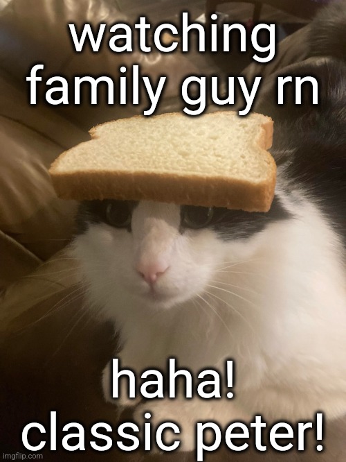 it seems today | watching family guy rn; haha! classic peter! | image tagged in bread cat | made w/ Imgflip meme maker