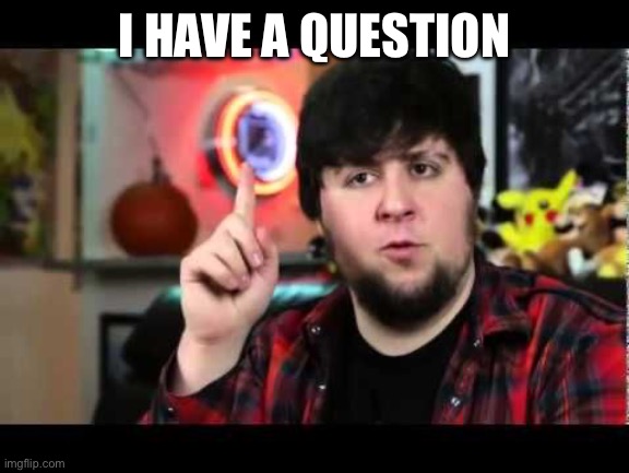 JonTron I have several questions | I HAVE A QUESTION | image tagged in jontron i have several questions | made w/ Imgflip meme maker