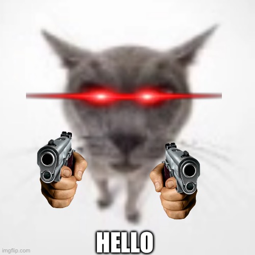 Goofy ahh Cat | HELLO | image tagged in goofy ahh cat | made w/ Imgflip meme maker