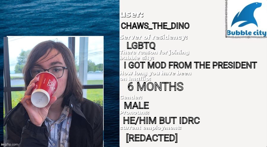 Mods, DM me to find out the redacted thing | CHAWS_THE_DINO; LGBTQ; I GOT MOD FROM THE PRESIDENT; 6 MONTHS; MALE; HE/HIM BUT IDRC; [REDACTED] | image tagged in official bubble city passport template | made w/ Imgflip meme maker