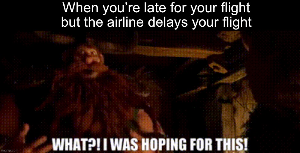 I was hoping for this | When you’re late for your flight but the airline delays your flight | image tagged in i was hoping for this | made w/ Imgflip meme maker