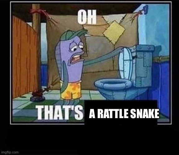 oh thats real nice | A RATTLE SNAKE | image tagged in oh thats real nice | made w/ Imgflip meme maker