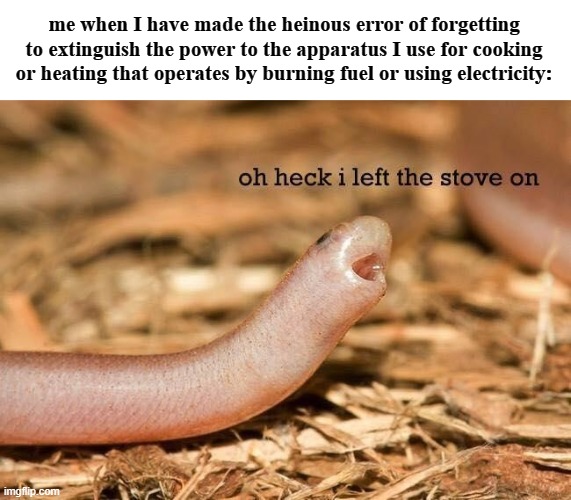 me when I have made the heinous error of forgetting to extinguish the power to the apparatus I use for cooking or heating that operates by burning fuel or using electricity: | made w/ Imgflip meme maker