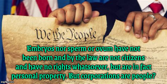 4th Reich rule | Embryos nor sperm or ovum have not been born and by the law are not citizens and have no rights whatsoever, but are in fact personal property. But corporations are people? | image tagged in maga nazis,broken oaths,traitors,democracy is dead,rip republic,doj has failed | made w/ Imgflip meme maker