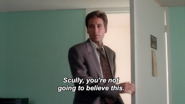 Scully, You're Not Going To Believe This Blank Meme Template
