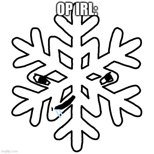 Brainlet snowflake | OP IRL: | image tagged in brainlet snowflake | made w/ Imgflip meme maker