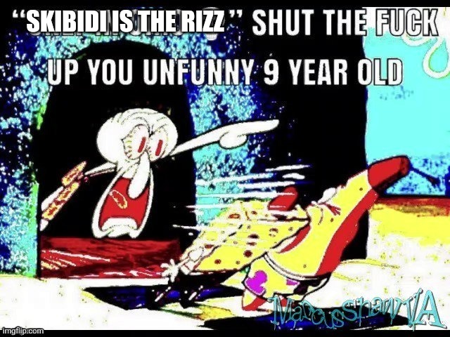 “only in Ohio” stfu you unfunny 9 year old | SKIBIDI IS THE RIZZ | image tagged in only in ohio stfu you unfunny 9 year old | made w/ Imgflip meme maker