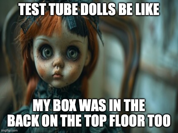 Test Tube Dolls Be Like | TEST TUBE DOLLS BE LIKE; MY BOX WAS IN THE BACK ON THE TOP FLOOR TOO | image tagged in test tube dolls,genetic engineering,genetics,genetics humor,science,test tube humor | made w/ Imgflip meme maker