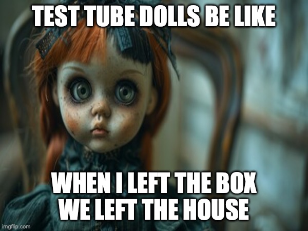 Test Tube Dolls Be Like | TEST TUBE DOLLS BE LIKE; WHEN I LEFT THE BOX
WE LEFT THE HOUSE | image tagged in test tube dolls,genetic engineering,genetics,genetics humor,science,test tube humor | made w/ Imgflip meme maker