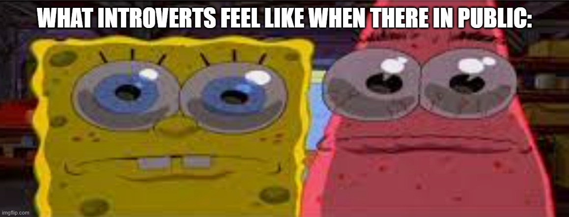 Introvert Club | WHAT INTROVERTS FEEL LIKE WHEN THERE IN PUBLIC: | image tagged in sobgih ans patbur | made w/ Imgflip meme maker