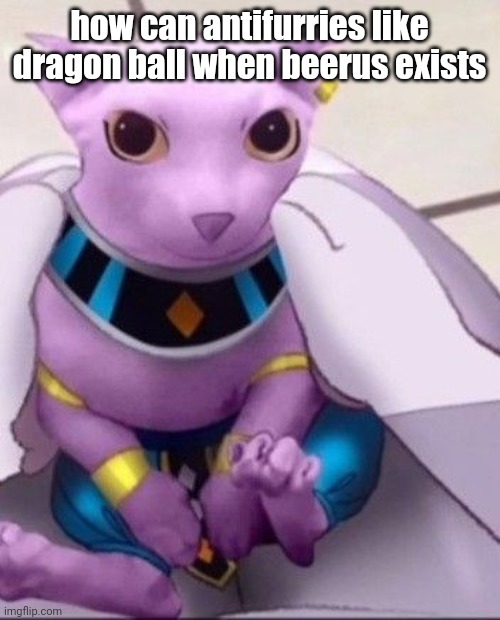 how can antifurries like dragon ball when beerus exists | made w/ Imgflip meme maker